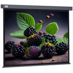 Экран Cactus Wallscreen CS-PSW-127X127-SG, 127х127 см, 1:1, настенно-потолочный серый
