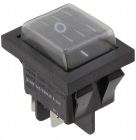 RB242D1121/ACC-F02-1, Rocker Switches Rocker, DPST, Off-On, Panel Mount, Snap-In, Black, I/O Vertical, IP54