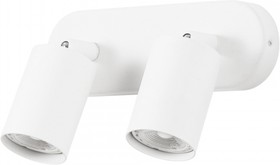 Фото 1/3 Arte Lamp A3226PL-2WH AQUARIUS Спот потолочный двойной