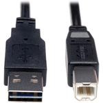 UR022-006, USB Cables / IEEE 1394 Cables USB 2.0 Uni Rvr Device Cable M/M 6'