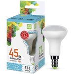 Лампа светодиодная LED-R50-standard 5Вт 4000К бел. E14 450лм 160-260В ASD ...