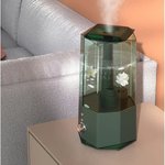 Ультразвуковой увлажнитель воздуха Humidifier Green DEM-F360W