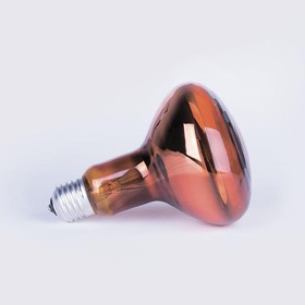 Фото 1/2 Лампа-термоизлучатель ИКЗК 230-60Вт R63 E27 (50) КЭЛЗ 8105041