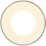 Ambrella Накладной точечный светильник с акрилом TN3202 SWH белый песок GU5.3 D78*97