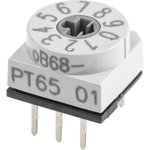 PT65701, 10 Way Through Hole DIP Switch, Rotary Flush Actuator