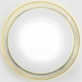 Ambrella Светодиодный светильник DAYLIGHT S440/10+3 белый/теплый (3 режима) круглый со стеклом (D150/A100)