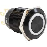 PV4F2Y011-345, Переключатель: антивандальный ...