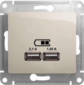 Розетка USB 2-м СП Glossa тип A+A 5В/2100мА 2х5В/1050мА механизм молочн. SE GSL000933
