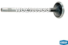 Фото 1/2 WOZ1009GG, Клапан выпускной