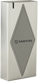 Считыватель Tantos TS-RDR-E Metal (W-26)
