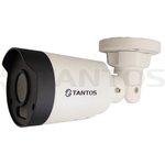 Видеокамера Tantos TSi-P4FP