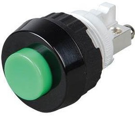 1.10.001.011/0507, Pushbutton Switch Momentary Function 1NO Panel Mount Black / Green