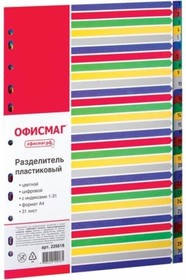 Фото 1/5 Пластиковый разделитель А4, 31 лист, цифровой 1-31, оглавление, цветной 225618