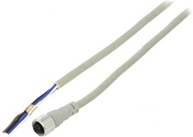 Photo 1/5 CIDH4-3, Connecting cable with one M12 connector, L=3m