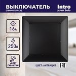 Выключатель Intro Solo 4-101-05 одноклавишный 10А-250В, IP20, СУ, антрацит