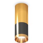 Ambrella Комплект накладного светильника XS6303050 DCH/PYG черный хром/золото ...
