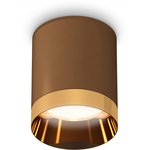Ambrella Комплект накладного светильника XS6304011 SCF/PYG кофе песок/золото ...