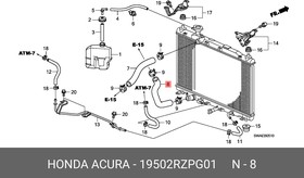 19502RZPG01, Патрубок радиатора нижний HONDA CR-V (2007 )