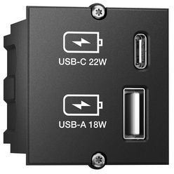 917227, Custom Module, Black, USB-A / USB-C, Number of Sockets - 2