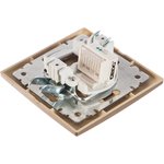 Розетка Plano 1-302-04 телефонная RJ11, IP20, СУ, шампань Б0030083