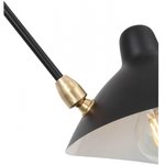 Подвесная люстра ST Luce Spruzzo SL305.402.06