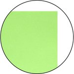 Бумага А4 70 г/м2 50 л., пастель зелёный CPL50C-Gr