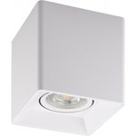 Denkirs Светильник накладной IP 20, 10 Вт, GU5.3, LED, белый, пластик DK3030-WH