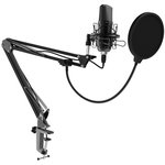 Микрофон Ritmix RDM-169, черный [80000749]
