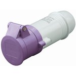 330.1605, IP44 Purple Cable Mount 2P Industrial Power Socket, Rated At 16A, 20 → 25 V