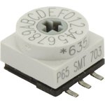 P65SMT101, 10 Way Surface Mount DIP Switch SPST, Rotary Flush Actuator