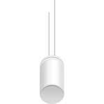 NPTB1001E221MJTM, Ceramic Capacitor