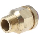 ADMT503001, Reliance 16bar Anti-Vacuum Valve With Male BSP 1/2 in BSP Male Connection