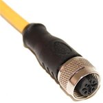 C4C05M010, Straight Female M12 to Unterminated Sensor Actuator Cable, 10m