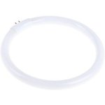 137446, Replacement Fluorescent Tube, 125mm, 22W