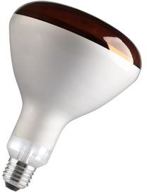 RI7125240250R, Incandescent Bulb, 250W, E27, 240V