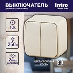 3-104-02 Intro Выключатель двойной, 10А-250В, IP20, ОУ, Polo, сл.кость