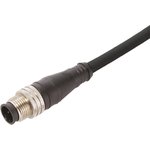1200060560, Straight Male 4 way M12 to Unterminated Sensor Actuator Cable, 2m