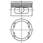 87-307807-10, Поршень в комплекте