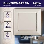 Выключатель Intro Solo 4-101-02 одноклавишный 10А-250В, IP20, СУ, слоновая кость