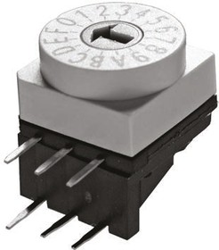 DRR60010, 10 Way Through Hole DIP Switch, Rotary Flush Actuator, IP67