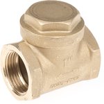 Brass Single Non Return Valve, BSP 1in, 12 bar