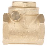 Brass Single Non Return Valve, BSP 1in, 12 bar