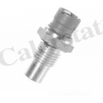 WS2539, Датчик температуры RENAULT 19 I 89-89, ALFA ROMEO 145 94-96, 146 94-96 ...