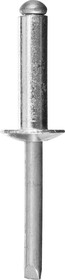 3120-48-10, STAYER Pro-FIX, 4.8 х 10 мм, 50 шт, алюминиевые заклепки, Professional (3120-48-10)