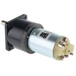 9013323, Brushed DC Motor with Gearbox 525:1 24V 600Nmm 110mm