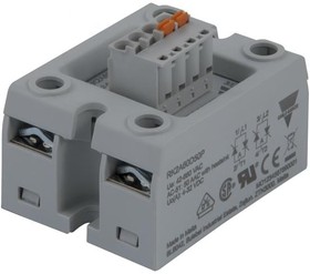 Фото 1/2 RK2A60D50P, Solid State Relays - Industrial Mount SSR 2 POLE-1X DC IN-ZC 600V 50A-PLUG IN