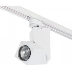 Lightstar Комплект со светильником Illumo Illumo Lightstar A1T051056