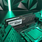 Оперативная память Patriot 32GB DDR5-5600 (PSD532G56002)