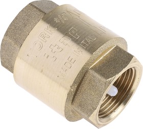 Фото 1/5 Brass Single Check Valve, BSPP 3/4in, 12 bar