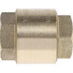 Brass Single Check Valve, BSPP 3/4in, 12 bar